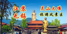 hengheng狠cao网址江苏无锡灵山大佛旅游风景区